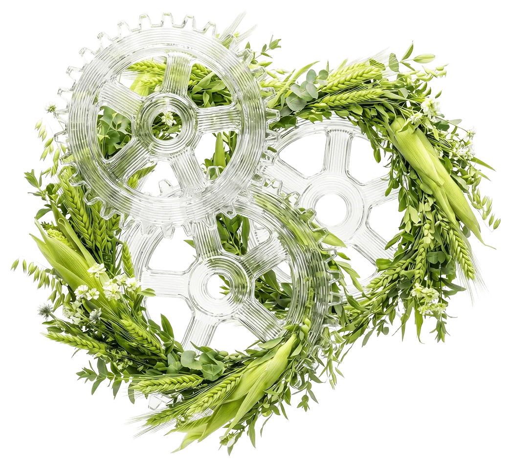 шестеренки
